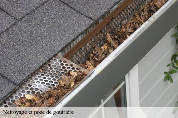 Nettoyage et pose de gouttière 91 Essonne  Lambert Couverture - Ravalement