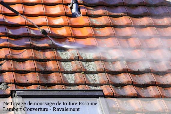 Nettoyage demoussage de toiture 91 Essonne  Lambert Couverture - Ravalement