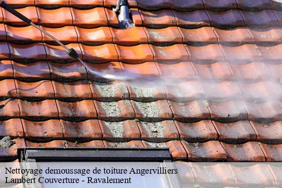 Nettoyage demoussage de toiture  angervilliers-91470 Lambert Couverture - Ravalement