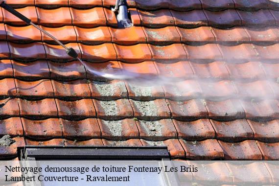 Nettoyage demoussage de toiture  fontenay-les-briis-91640 Lambert Couverture - Ravalement